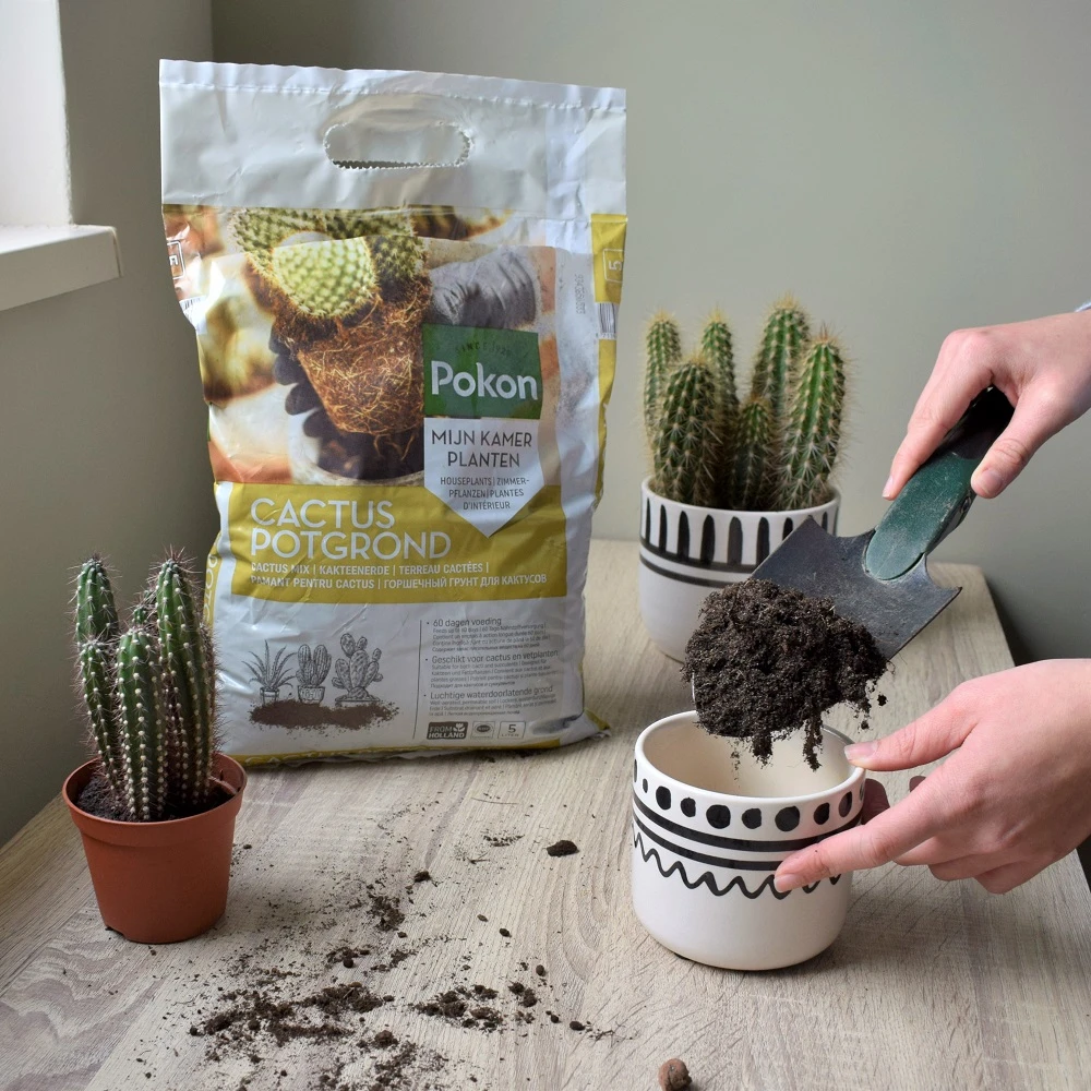 Pokon Cactus Potgrond 5L