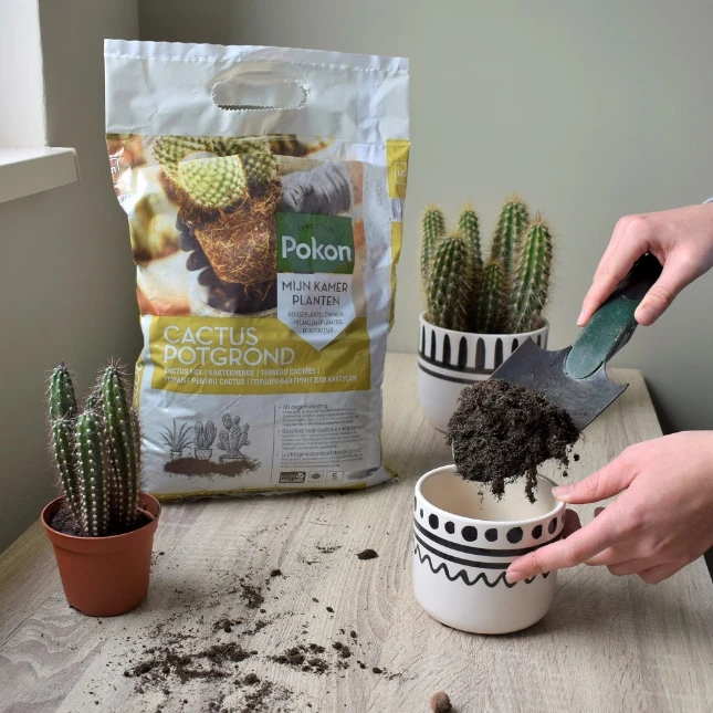 Pokon Cactus Potgrond 5L