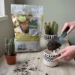 Pokon Cactus Potgrond 5L