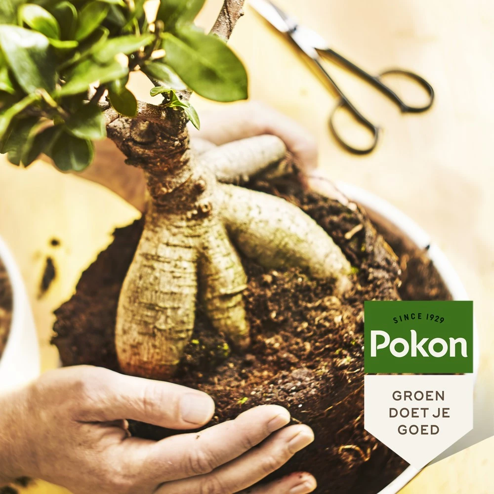 Pokon Bonsai Potgrond 5L
