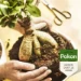 Pokon Bonsai Potgrond 5L