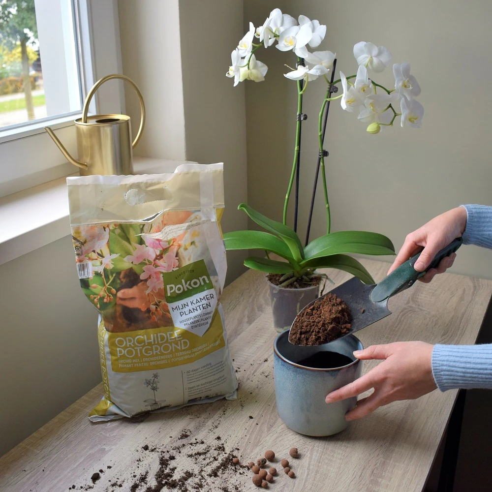 Pokon Orchidee Potgrond 5L