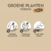 Pokon Bio Groene planten Voeding 500ml