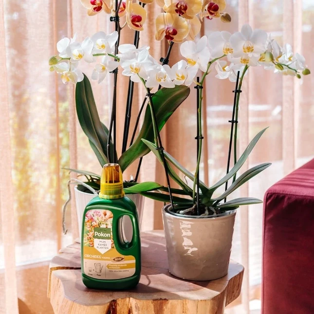 Pokon Bio Orchidee Voeding 250ml