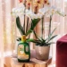 Pokon Bio Orchidee Voeding 250ml