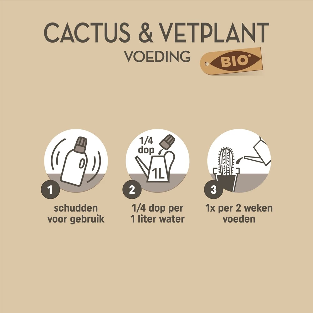 Pokon Bio Cactus & Vetplant Voeding 250ml