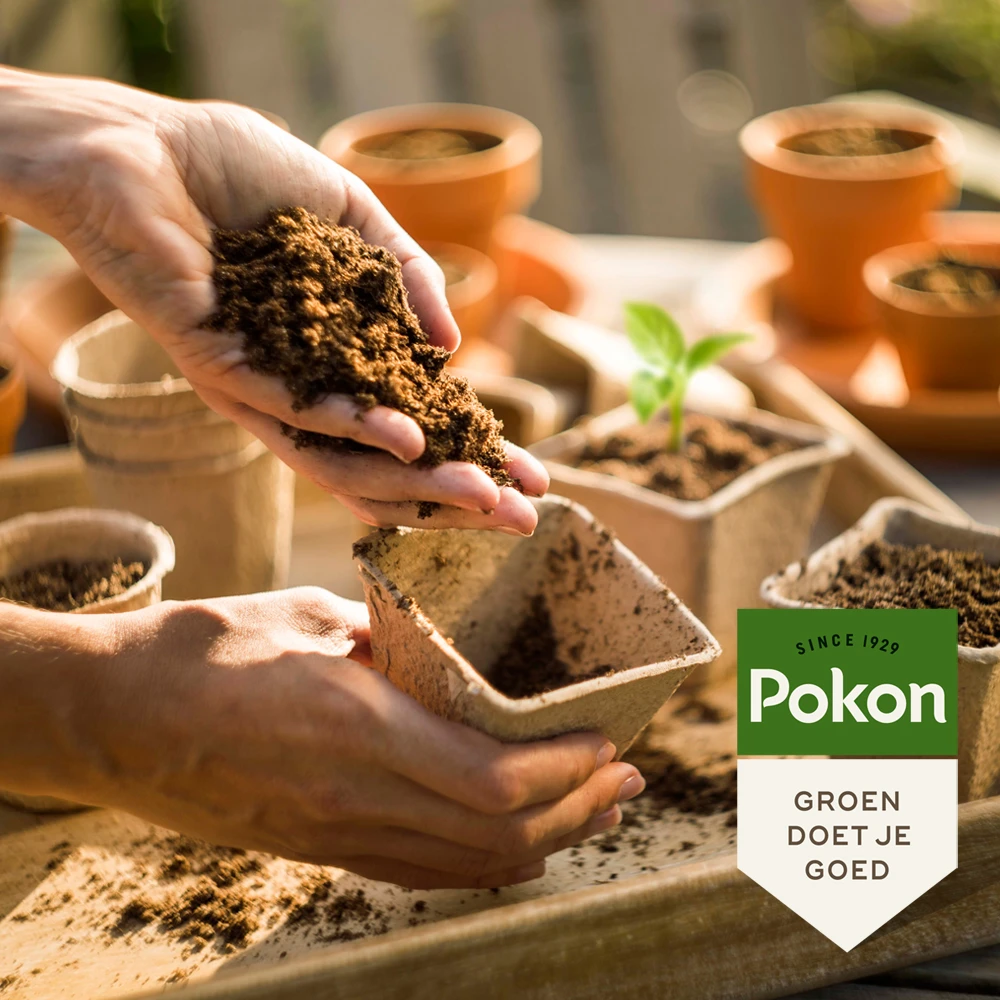 Pokon Bio Zaai & Stekgrond 10L