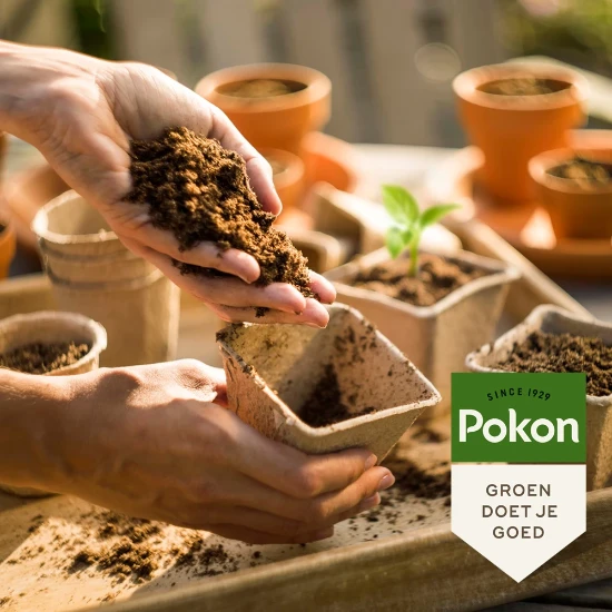 Pokon Bio Zaai & Stekgrond 10L