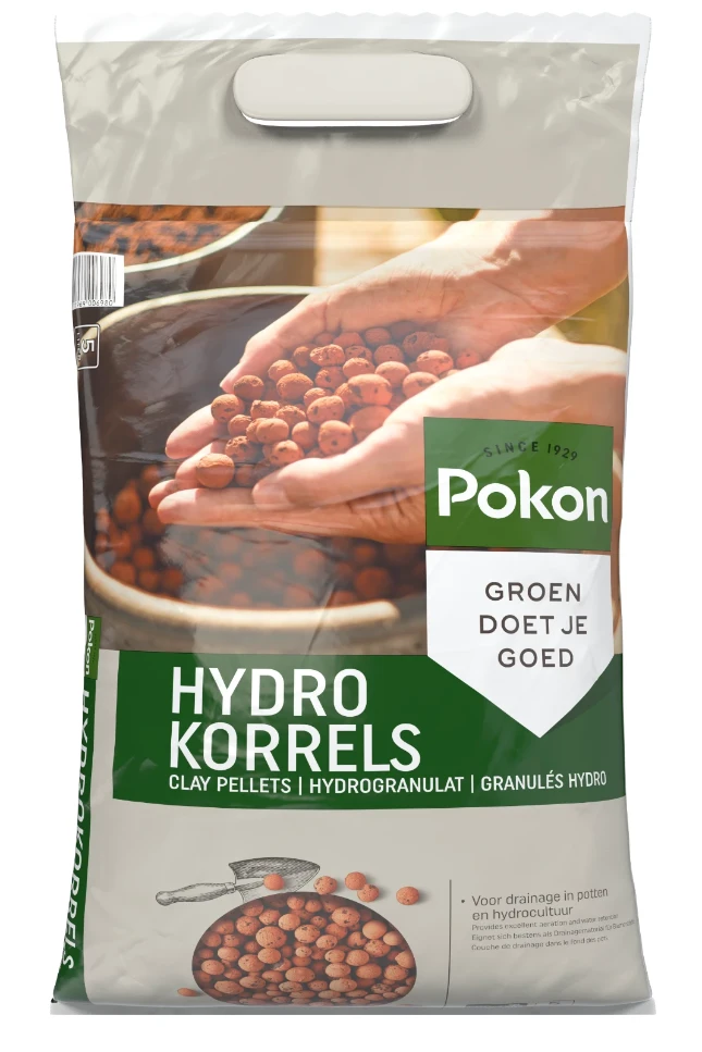 Pokon Hydrokorrels Plant in pot