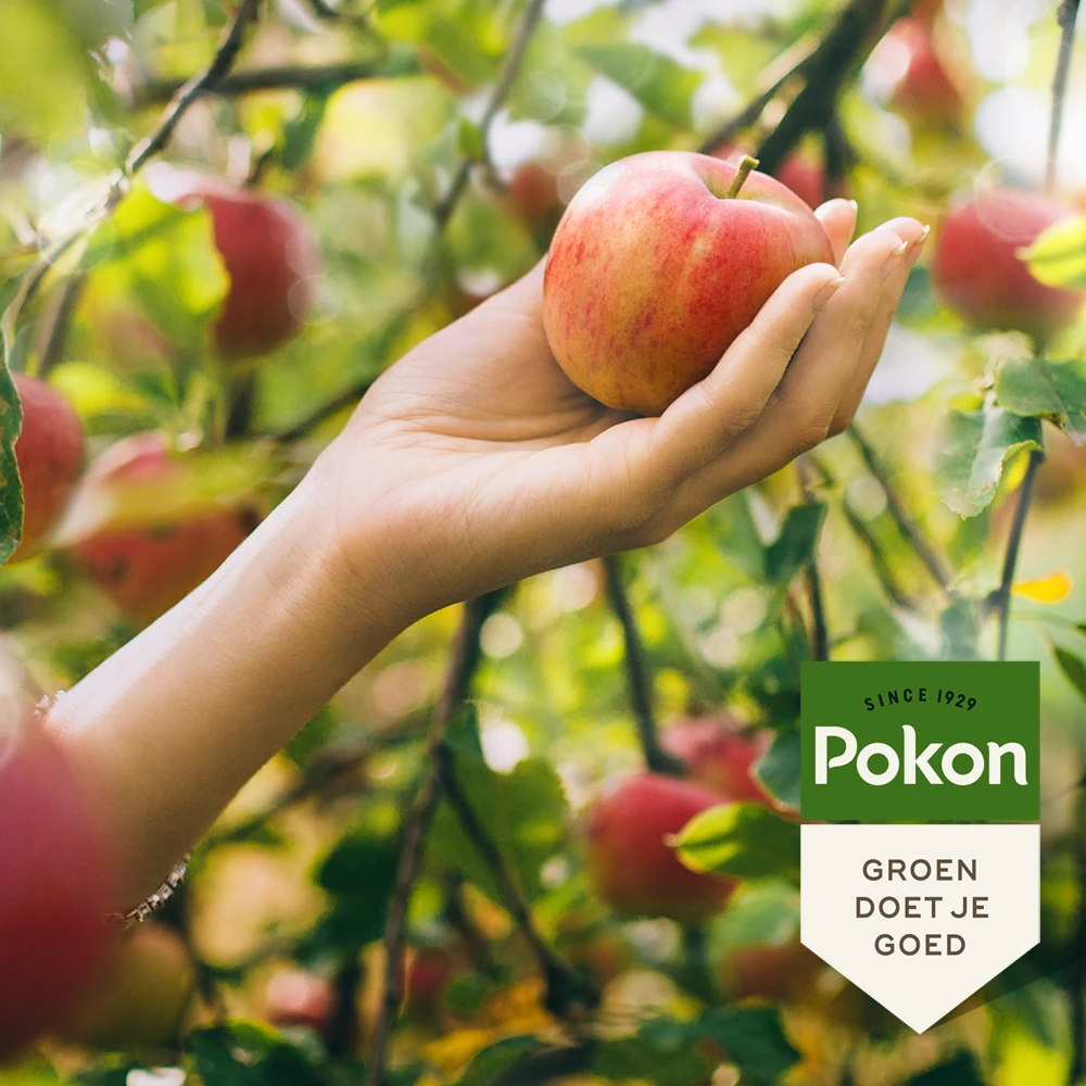 Pokon Bio Fruit Bomenmest 1kg