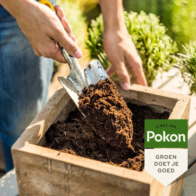 Pokon Kokos (Potgrond) Compact 10L