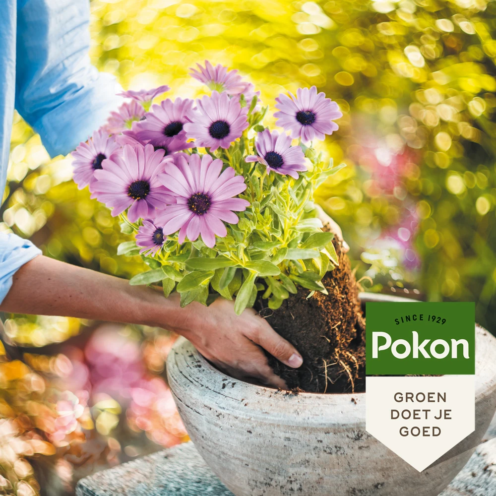 Pokon Potgrond Langwerkend 20L