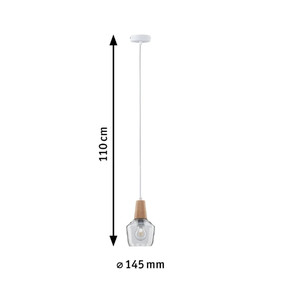 Paulmann Neordic Luminaire en Suspension Ylvie 20W