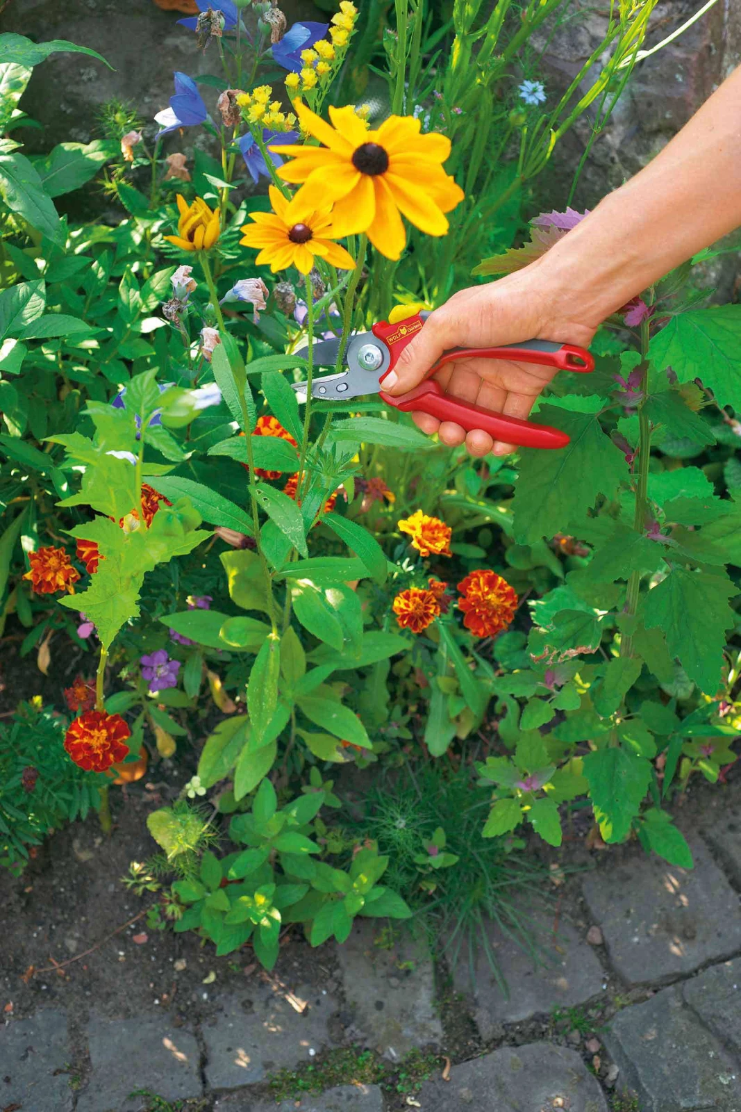 WOLF-Garten Sécateur À Enclume Confort Plus Rs2500