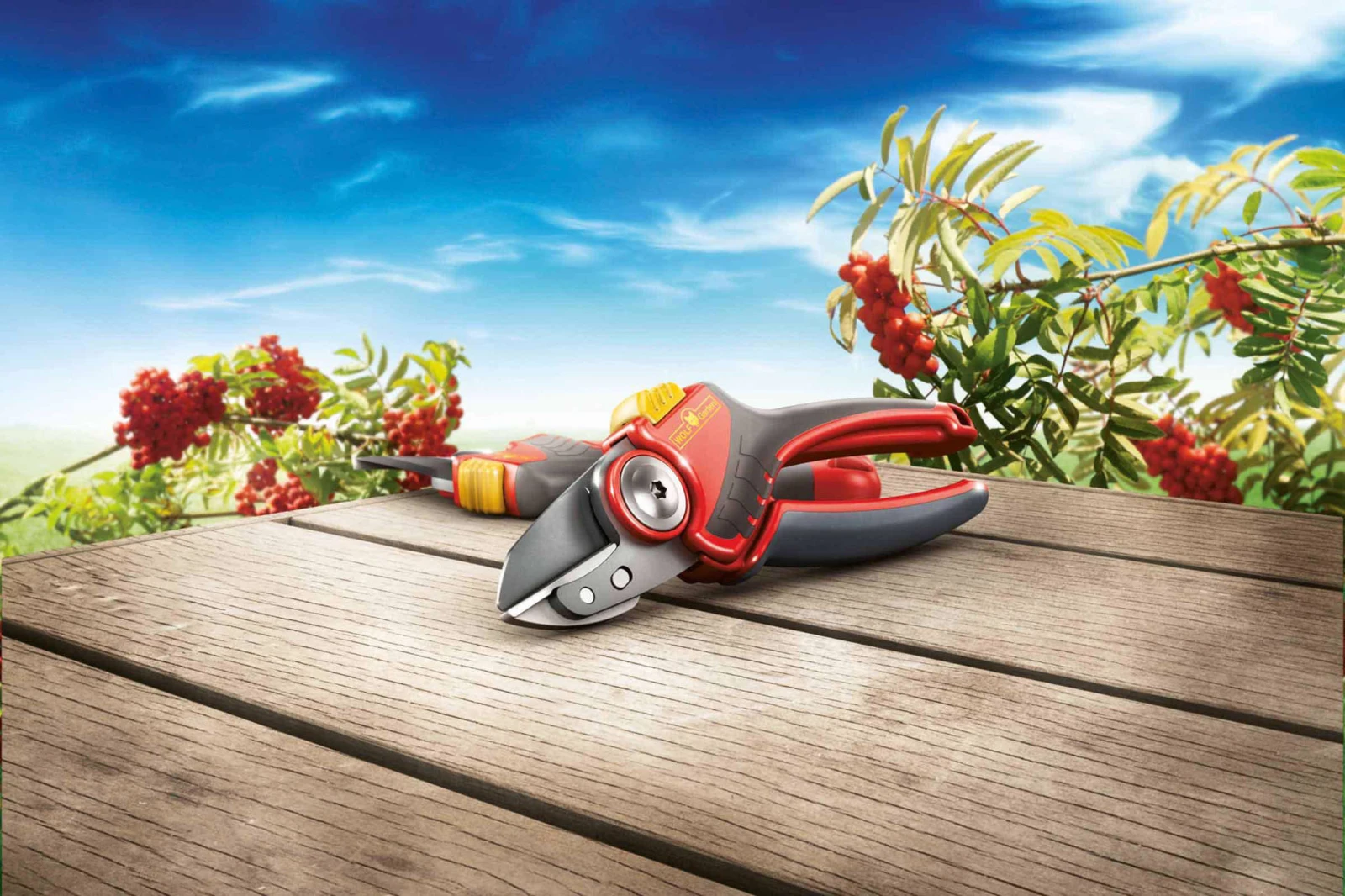 WOLF-Garten Sécateur À Enclume Confort Plus Rs2500