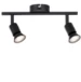 Paulmann Spotlight Carolina max 2x10W GU10 230V
