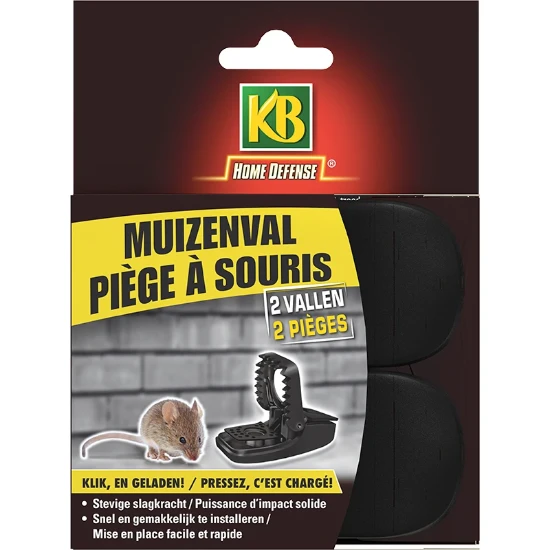 Home Defense Muizenval kunststof 2 stuks