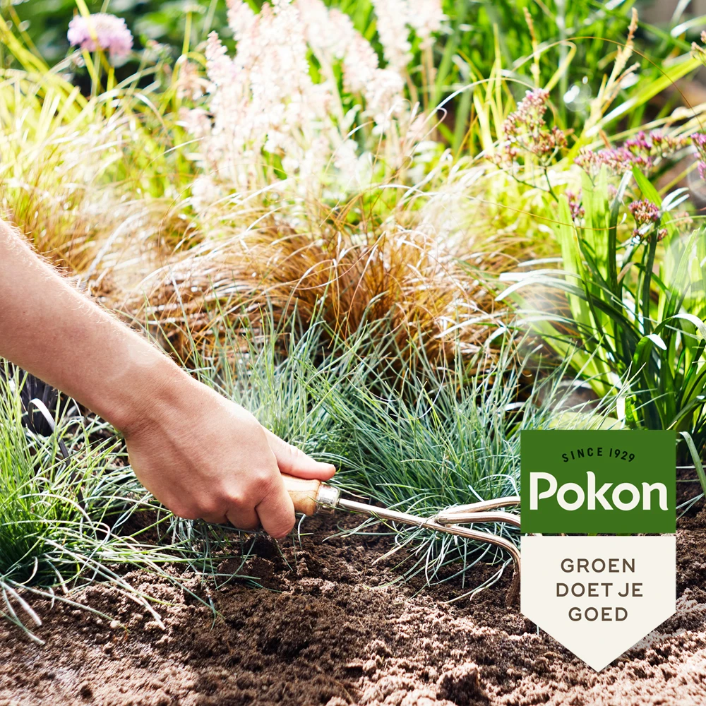 Pokon Siergrassen & Bamboe Mest 1kg