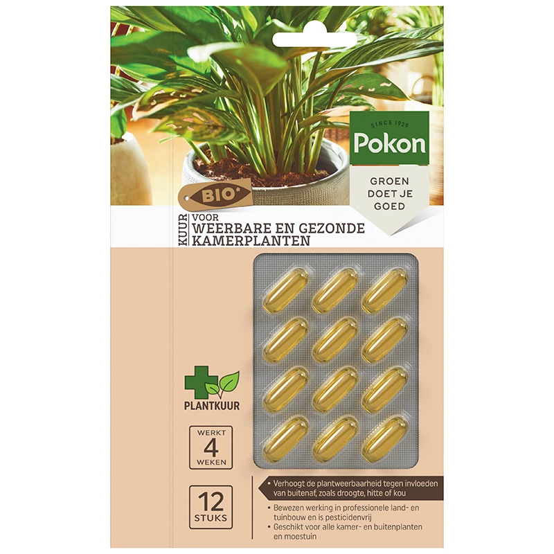 Pokon Bio Kuur voor Kamerplanten 12 capsules