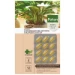 Pokon Bio Kuur voor Kamerplanten 12 capsules