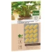 Pokon Bio Kuur voor Kamerplanten 12 capsules