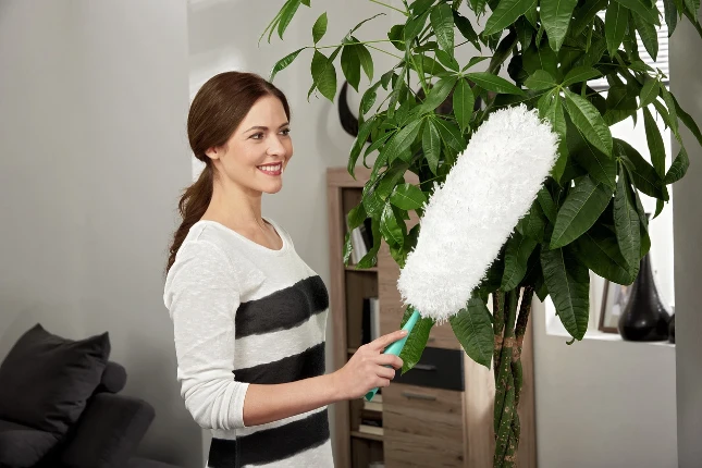 Leifheit Plumeau Duster XL click-sytem