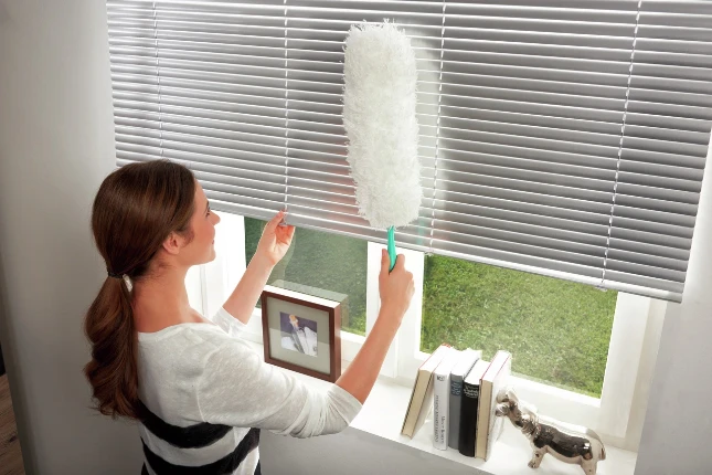 Leifheit Plumeau Duster XL click-sytem
