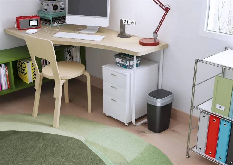 Kis Dual Swing Prullenbak - 10L - zwart