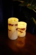 Pauleen LED-kaarsen Wax Shine Bloom - 2 stuks