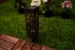 Pauleen Sunshine Mood solar earth spike outdoor S