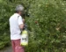 Hozelock Drukspuit Pure 7 liter