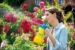 Gloria Drukspuit Hobby 100 - 1L