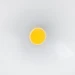 Steinel Sensor Buitenspot LS 150 LED wit - met bewegingsmelder