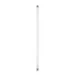 Philips LED T8 600mm 8W G13 CW ND 1CT/4 G