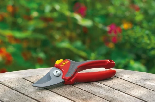 WOLF-Garten Sécateur Confort Plus Rr2500
