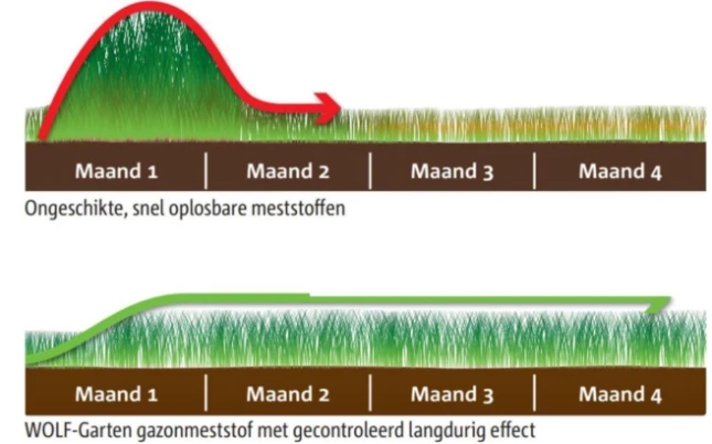 WOLF-Garten Natura Bio Gazonmest 160m² - 10800 gram