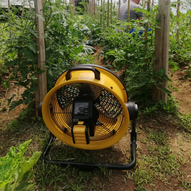 Master Vloerventilator DFB 16