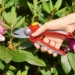 WOLF-Garten Snoeischaar Premium Plus RR4000