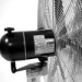Master Vloerventilator FS 75