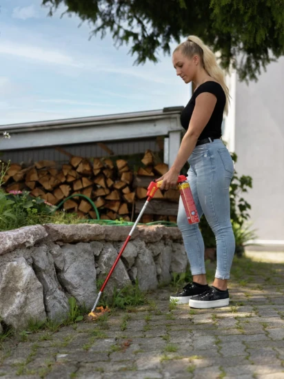 Rothenberger Onkruidbrander Premium