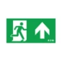 Pictogram noodverlichting Atlantic LED Eaton Blessing PICTO ATL LED S BL ISO 1212447
