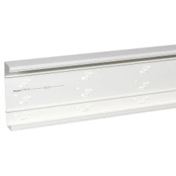 DLP goot 65x250mm, lengte 2,60meter.