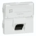 Datacom contactdoos (twisted pair) Schakelmateriaal Legrand Mosaic RJ45 STP LCS6A 2 modules schuin. Snelle aansluitingen zonder gereedschap. Compact, waardoor montage in ondiepe goot mogelijk is. (CT à 100 C62) 076508