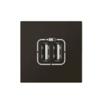 USB-voeding Legrand Legrand 079194L