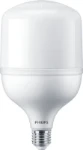 LED-lamp Philips LED bulb T120 Mains