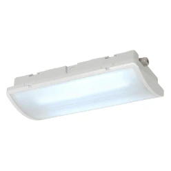 P-LIGHT, plafondlamp, led, 6000K, IP65, rechthoekig, wit, 6,5W