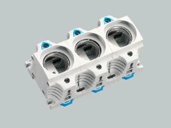 150MM BREED