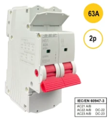 SEP HS1 Hoofdschakelaar 2p 63A (415V)
