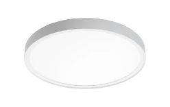 SG Plafond-/wandarmatuur Disc 480
