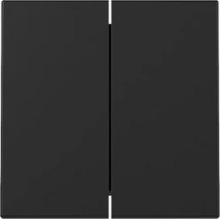 Gira Bedieningselement /centraalplaat schakelmateriaal System 55 Across programs